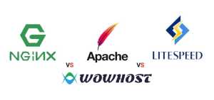 LiteSpeed Web Server