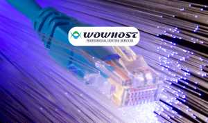 Cum alegem gazduirea potrivita