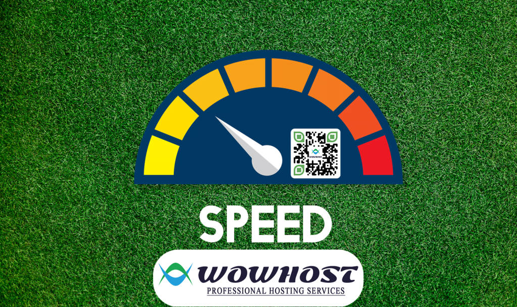 Optimizare viteza site